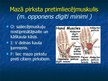 Prezentācija 'Ekstremitāšu muskuļi', 46.