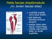 Prezentācija 'Ekstremitāšu muskuļi', 54.