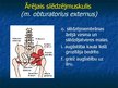Prezentācija 'Ekstremitāšu muskuļi', 57.