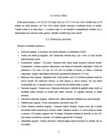 Referāts 'Monitori', 6.