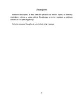 Referāts 'Monitori', 14.