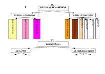 Konspekts 'Distanču slēpošanas pārvietošanās veidu klasifikācija', 2.