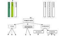 Konspekts 'Distanču slēpošanas pārvietošanās veidu klasifikācija', 3.