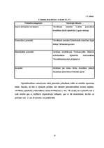 Diplomdarbs 'Personāla motivācijas sistēma AS "Hansabanka" ', 19.