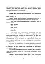 Diplomdarbs 'Personāla motivācijas sistēma AS "Hansabanka" ', 22.