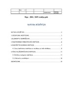 Paraugs 'Lēmumu analīzes metodes. Daudzkritēriju lēmumu pieņemšanas uzdevumi', 2.