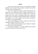 Referāts 'Valsts būtība, funkcijas', 3.