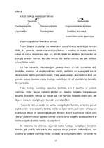 Referāts 'Valsts būtība, funkcijas', 17.