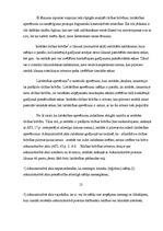 Referāts 'Samērīguma princips administratīvajās tiesībās', 13.