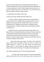 Referāts 'Samērīguma princips administratīvajās tiesībās', 17.