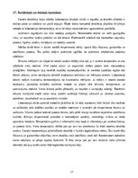 Konspekts 'Spirta iegūšana no vīna ar destilācijas metodi', 17.