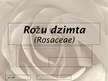 Prezentācija 'Rožu dzimta', 1.