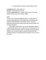 Konspekts 'Lielie ģeogrāfiskie atklājumi', 3.