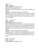 Paraugs 'Darba mape - vizuālajā mākslā', 3.