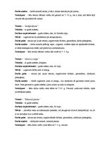 Paraugs 'Darba mape - vizuālajā mākslā', 7.