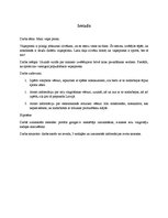 Referāts 'Mani vaļasprieki', 3.