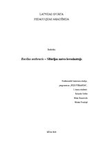 Konspekts 'Bacilus anthracis - Sibīrijas mēra ierosinātājs', 1.