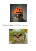 Konspekts 'Fokusa grupas dizaina apraksts', 3.