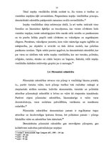 Referāts 'Tiesiska valsts', 10.