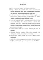 Referāts 'Tiesiska valsts', 16.