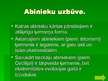 Prezentācija 'Abinieku klase', 3.