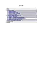 Referāts 'Pašvaldību finanses', 2.