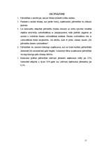 Referāts 'Pašvaldību finanses', 17.