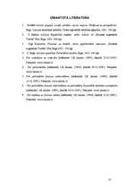 Referāts 'Pašvaldību finanses', 18.