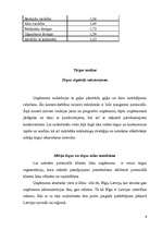 Biznesa plāns 'Biznesa plāns gaļas pārstrādes uzņēmumam', 6.