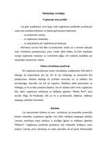 Biznesa plāns 'Biznesa plāns gaļas pārstrādes uzņēmumam', 10.