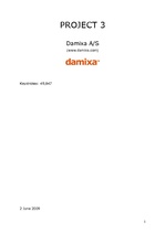Referāts 'Company "Damixa"', 1.
