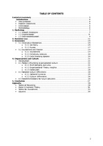 Referāts 'Company "Damixa"', 2.