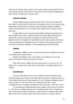 Referāts 'Company "Damixa"', 18.