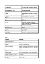 Referāts 'Company "Damixa"', 28.