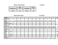 Biznesa plāns 'Biznesa plāns', 25.