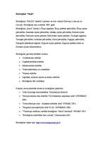 Referāts 'Latvijas dalība eiroreģionos', 3.