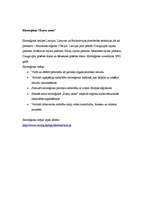 Referāts 'Latvijas dalība eiroreģionos', 6.