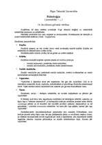 Konspekts 'Politoloģija', 3.