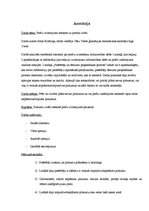 Referāts 'Preču izvietojuma ietekme uz pircēja izvēli', 4.