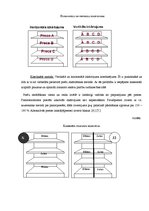 Referāts 'Preču izvietojuma ietekme uz pircēja izvēli', 13.