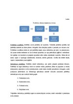 Referāts 'Preču izvietojuma ietekme uz pircēja izvēli', 16.