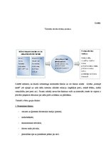 Referāts 'Preču izvietojuma ietekme uz pircēja izvēli', 18.