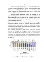 Referāts 'Liepājas ostas ekonomiskais stāvoklis', 18.