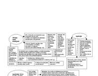 Konspekts 'Domu kartes neiropsiholoģijā', 3.