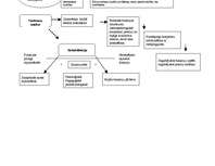Konspekts 'Domu kartes neiropsiholoģijā', 4.