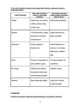 Prakses atskaite 'Mārketinga prakses atskaite', 6.