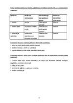 Prakses atskaite 'Mārketinga prakses atskaite', 13.