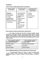 Prakses atskaite 'Mārketinga prakses atskaite', 15.