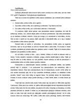 Referāts 'Krāsu psiholoģiskā ietekme jauniešu vecuma posmā', 46.