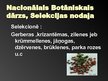 Prezentācija 'Latvijas selekcija un izmēģinājumu stacijas', 17.